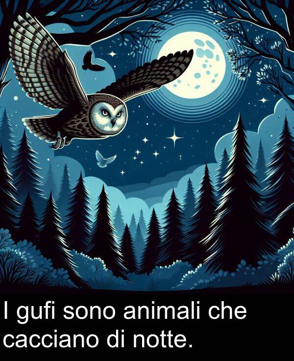 notte: I gufi sono animali che cacciano di notte.