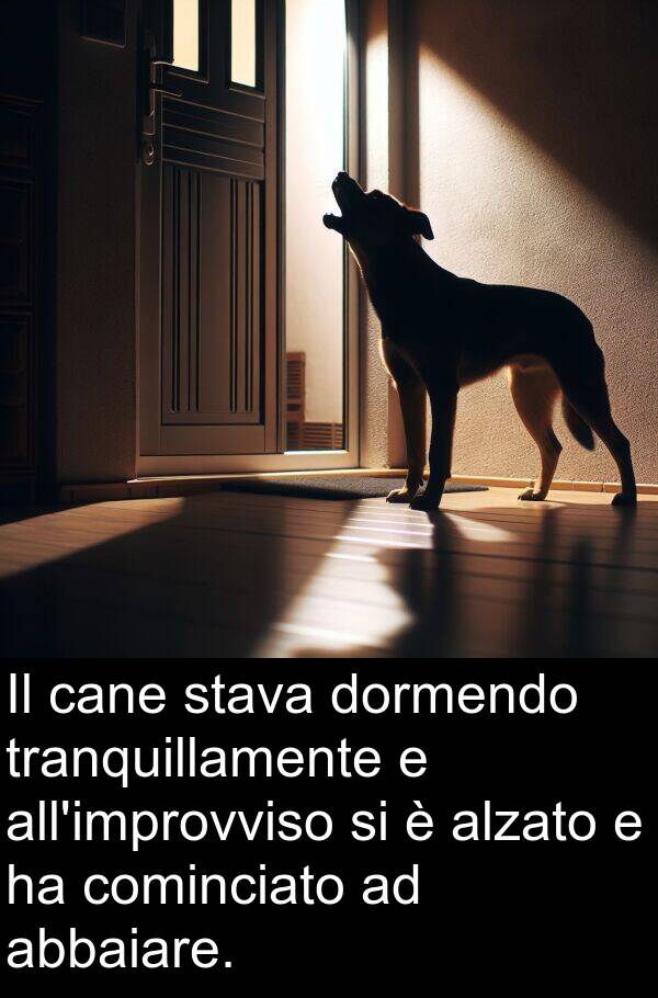 abbaiare: Il cane stava dormendo tranquillamente e all'improvviso si è alzato e ha cominciato ad abbaiare.