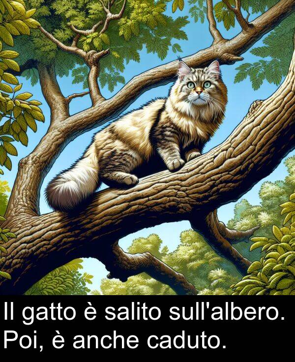 anche: Il gatto è salito sull'albero. Poi, è anche caduto.