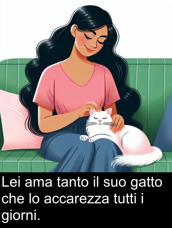 tanto: Lei ama tanto il suo gatto che lo accarezza tutti i giorni.