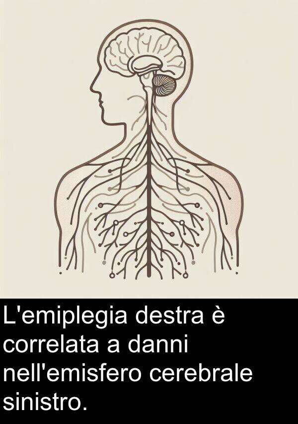 danni: L'emiplegia destra è correlata a danni nell'emisfero cerebrale sinistro.