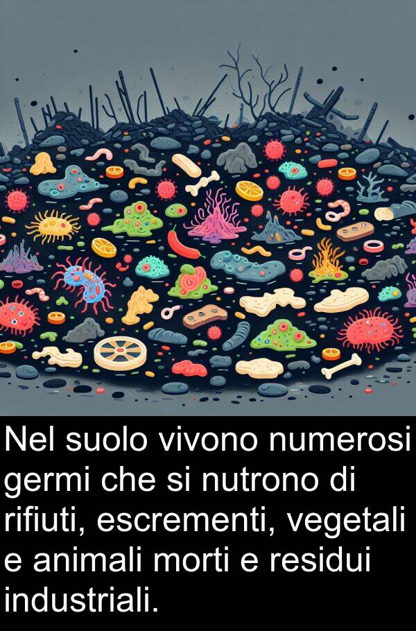 escrementi: Nel suolo vivono numerosi germi che si nutrono di rifiuti, escrementi, vegetali e animali morti e residui industriali.