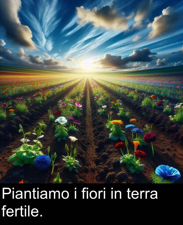 fertile: Piantiamo i fiori in terra fertile.