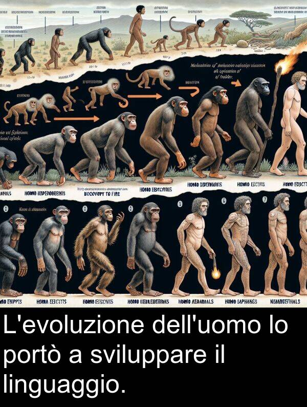 portò: L'evoluzione dell'uomo lo portò a sviluppare il linguaggio.