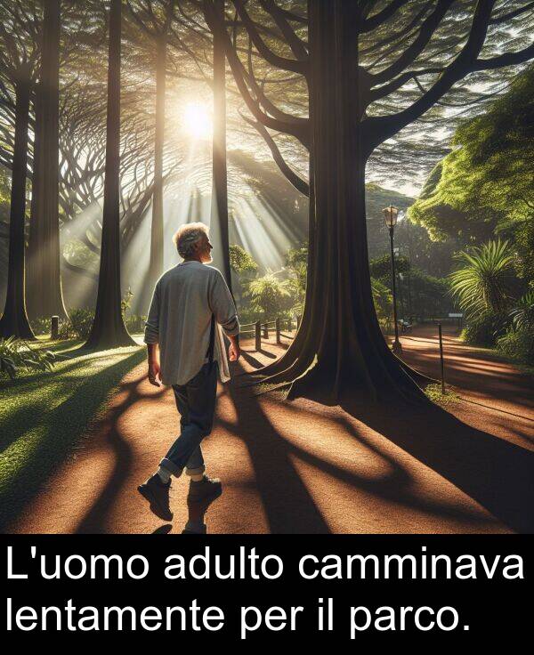 camminava: L'uomo adulto camminava lentamente per il parco.