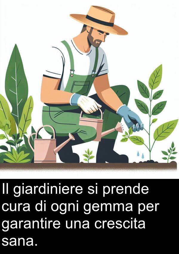 gemma: Il giardiniere si prende cura di ogni gemma per garantire una crescita sana.