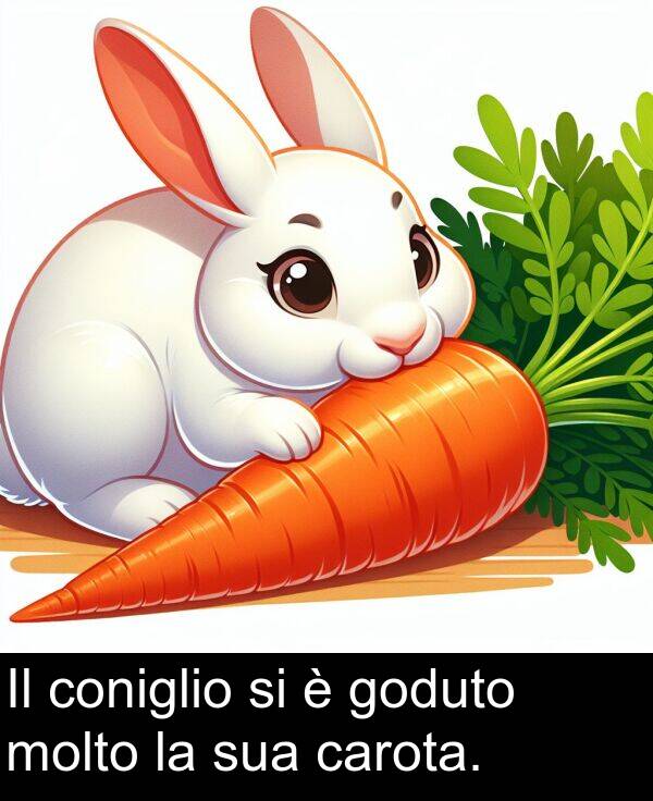 carota: Il coniglio si è goduto molto la sua carota.