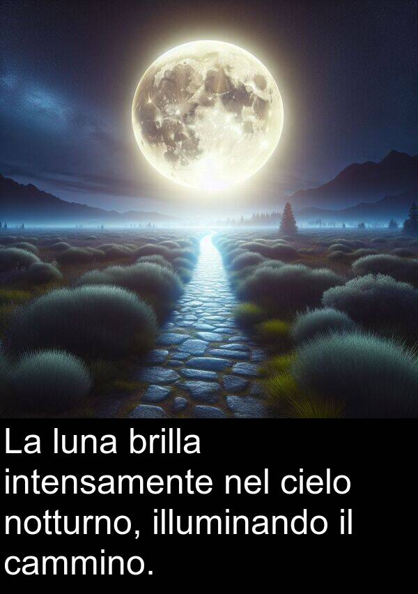 notturno: La luna brilla intensamente nel cielo notturno, illuminando il cammino.