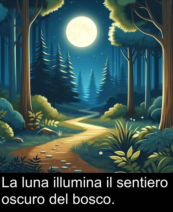 illumina: La luna illumina il sentiero oscuro del bosco.