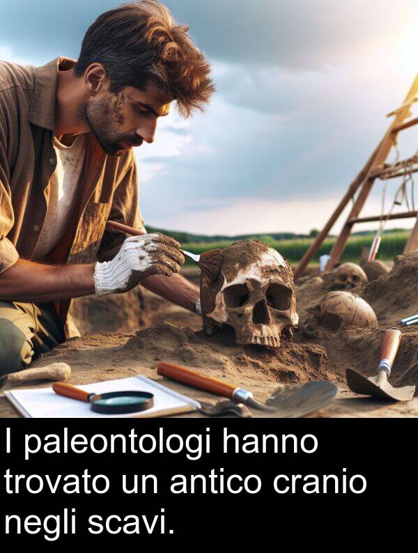 paleontologi: I paleontologi hanno trovato un antico cranio negli scavi.