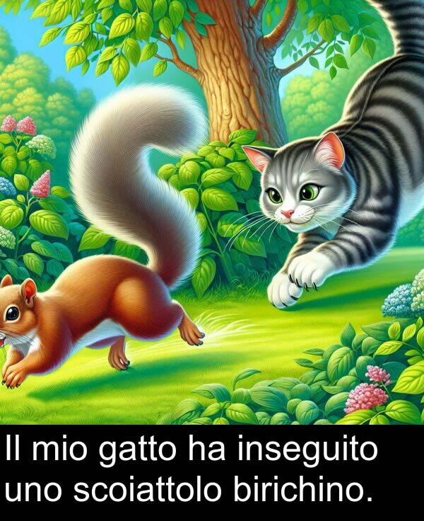 uno: Il mio gatto ha inseguito uno scoiattolo birichino.