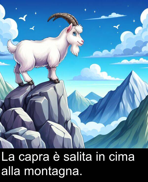 capra: La capra è salita in cima alla montagna.