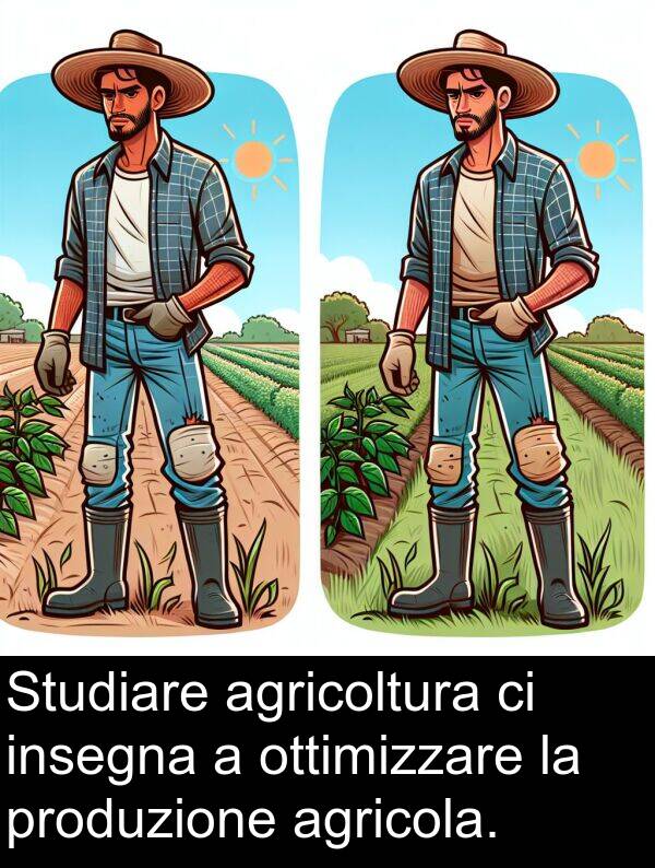 agricola: Studiare agricoltura ci insegna a ottimizzare la produzione agricola.