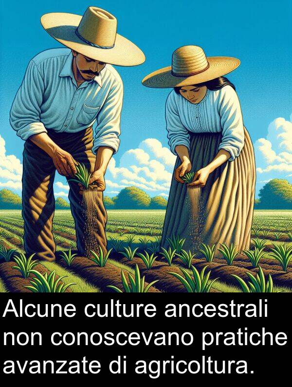 pratiche: Alcune culture ancestrali non conoscevano pratiche avanzate di agricoltura.