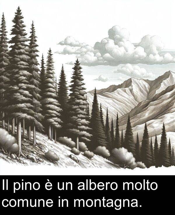 pino: Il pino è un albero molto comune in montagna.