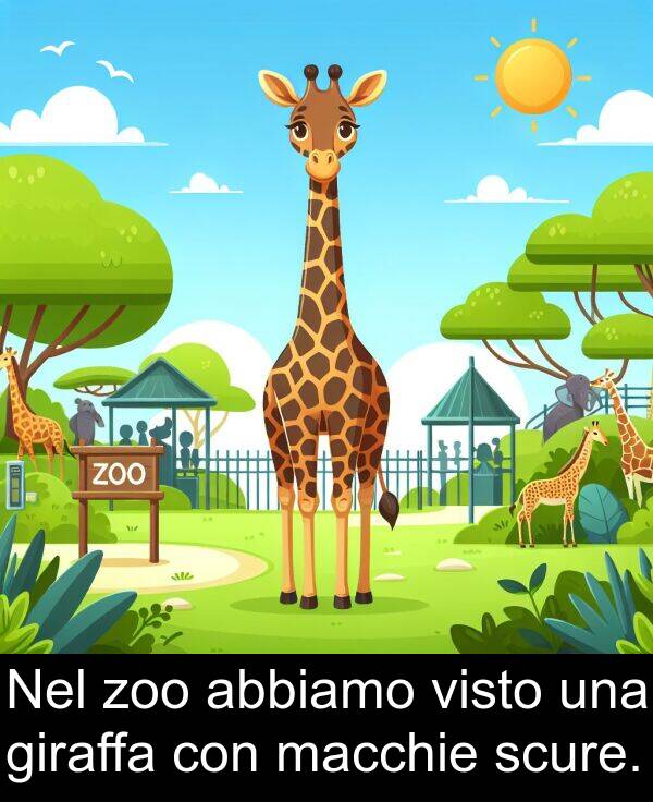 abbiamo: Nel zoo abbiamo visto una giraffa con macchie scure.