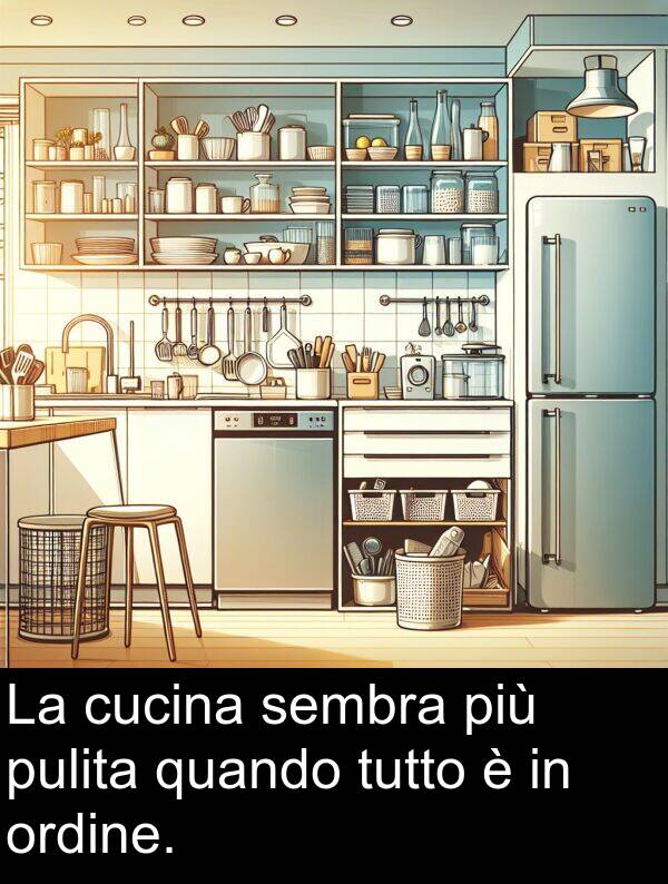 quando: La cucina sembra più pulita quando tutto è in ordine.