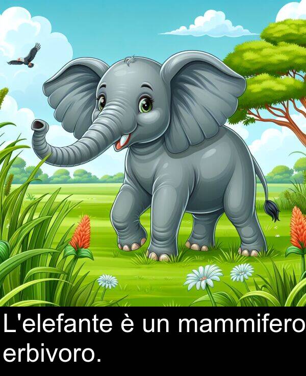 mammifero: L'elefante è un mammifero erbivoro.