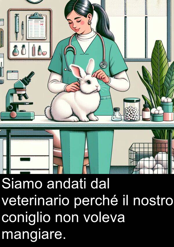 nostro: Siamo andati dal veterinario perché il nostro coniglio non voleva mangiare.