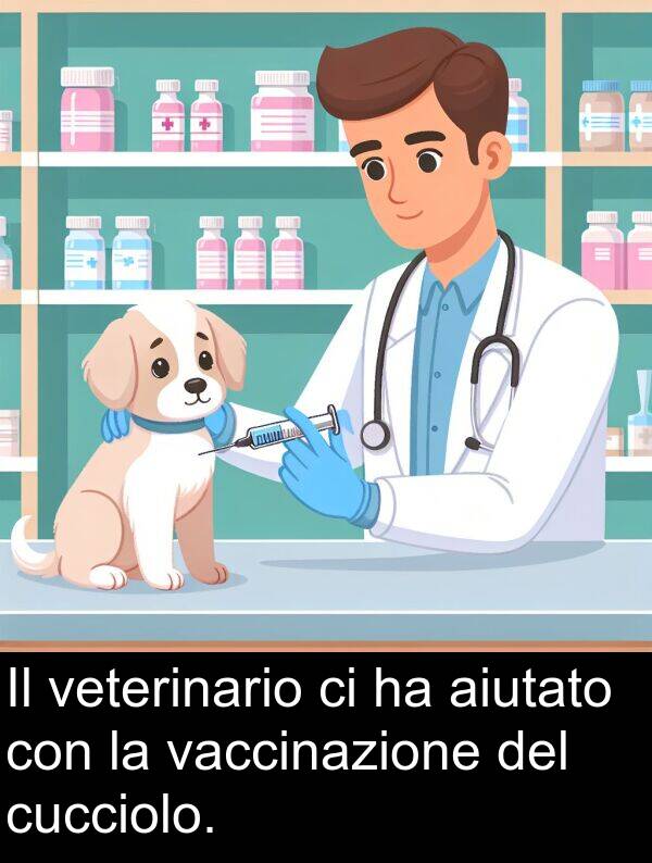 vaccinazione: Il veterinario ci ha aiutato con la vaccinazione del cucciolo.