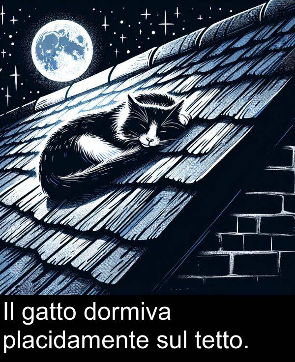 tetto: Il gatto dormiva placidamente sul tetto.