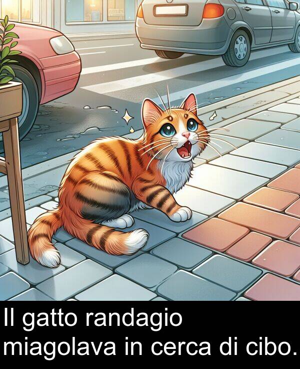 randagio: Il gatto randagio miagolava in cerca di cibo.