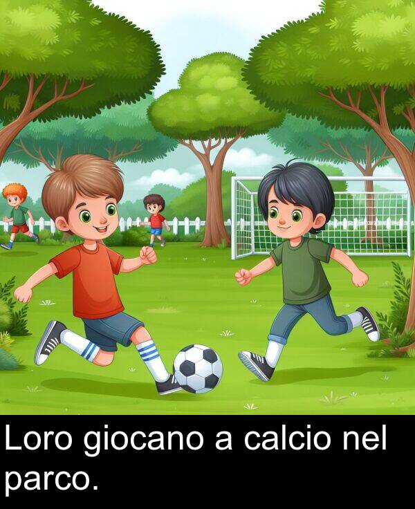 calcio: Loro giocano a calcio nel parco.