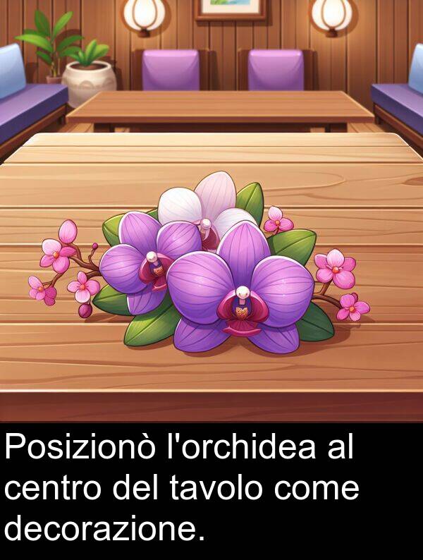 decorazione: Posizionò l'orchidea al centro del tavolo come decorazione.