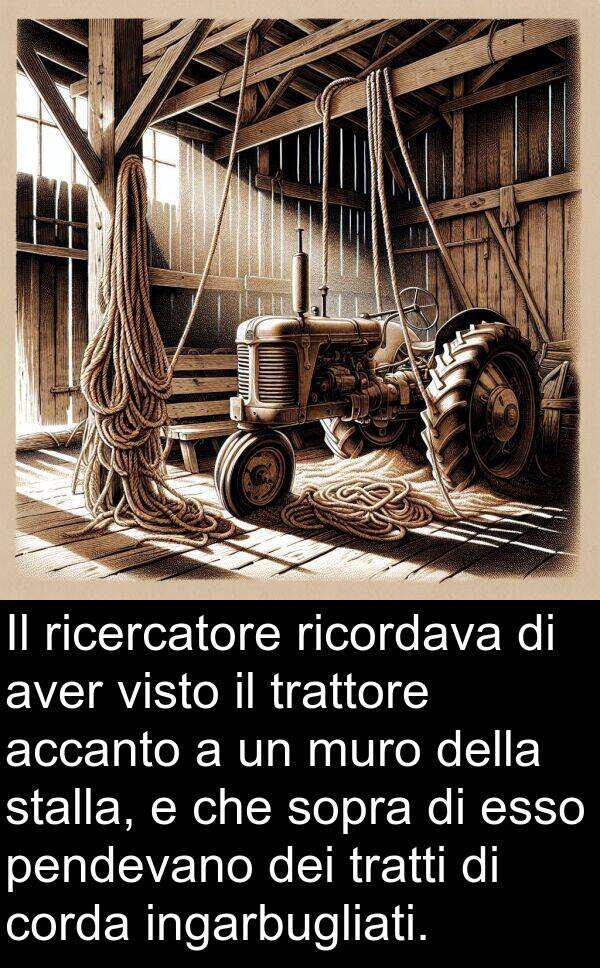 accanto: Il ricercatore ricordava di aver visto il trattore accanto a un muro della stalla, e che sopra di esso pendevano dei tratti di corda ingarbugliati.