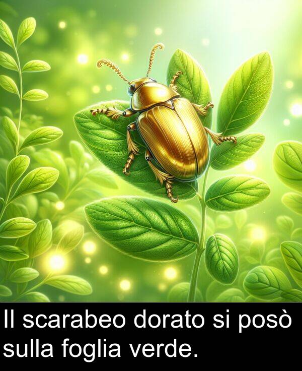 verde: Il scarabeo dorato si posò sulla foglia verde.