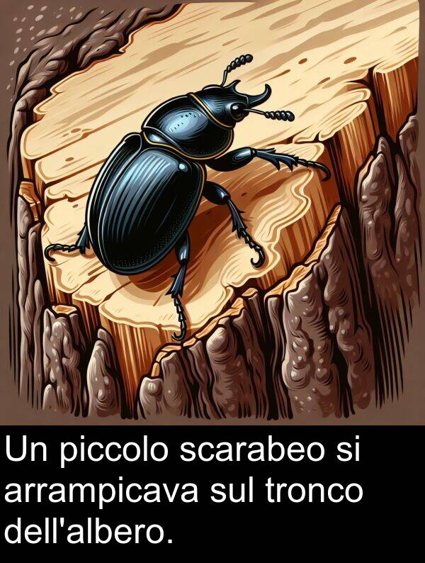 scarabeo: Un piccolo scarabeo si arrampicava sul tronco dell'albero.