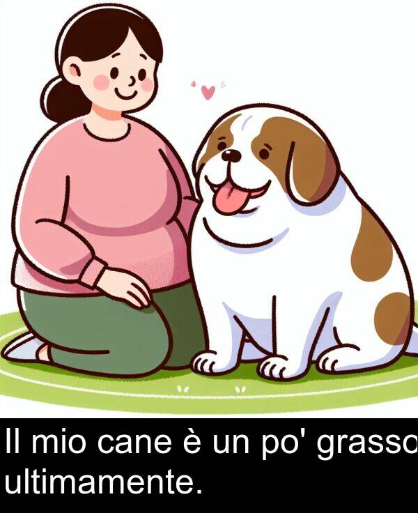 ultimamente: Il mio cane è un po' grasso ultimamente.