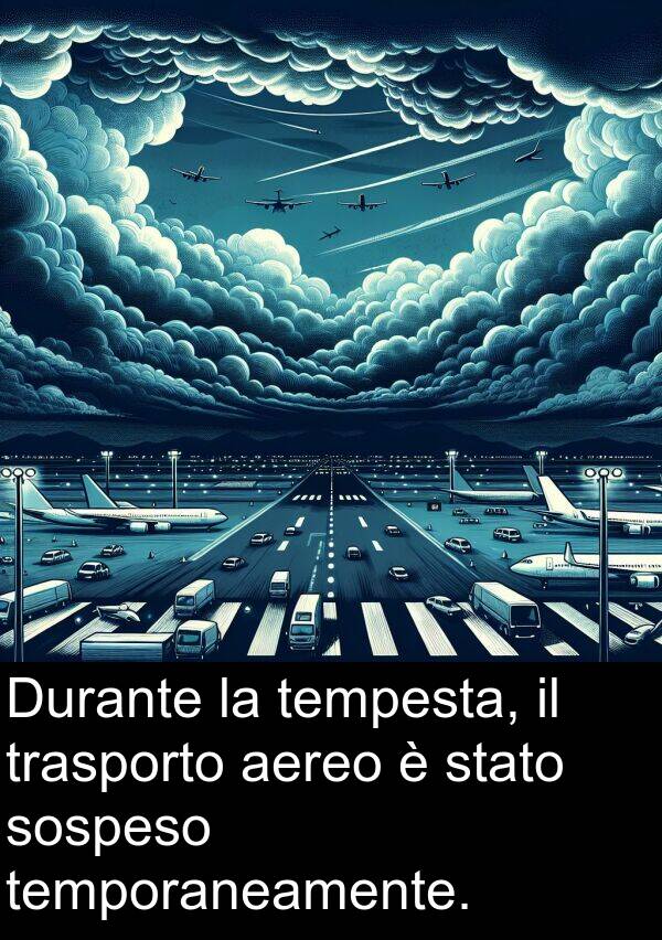 tempesta: Durante la tempesta, il trasporto aereo è stato sospeso temporaneamente.