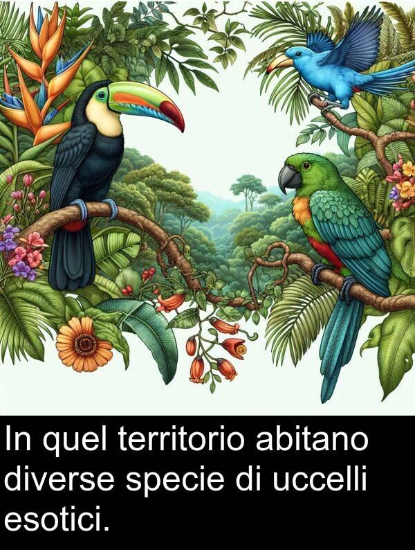 territorio: In quel territorio abitano diverse specie di uccelli esotici.