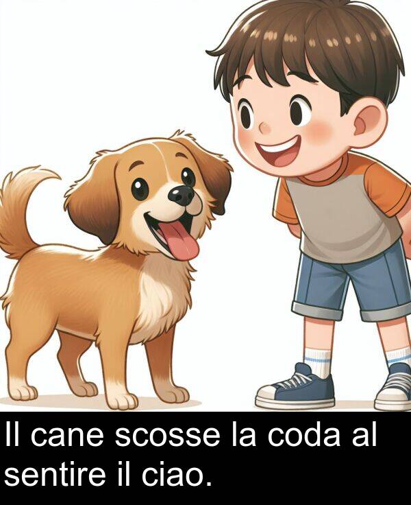 cane: Il cane scosse la coda al sentire il ciao.