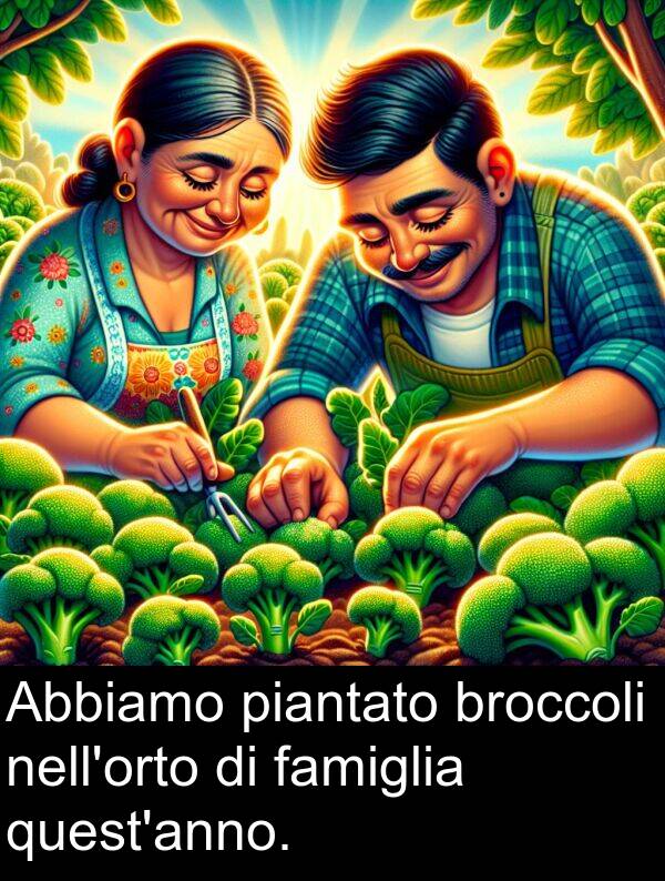 famiglia: Abbiamo piantato broccoli nell'orto di famiglia quest'anno.