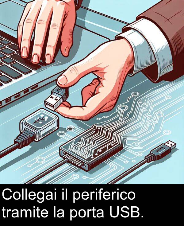 porta: Collegai il periferico tramite la porta USB.