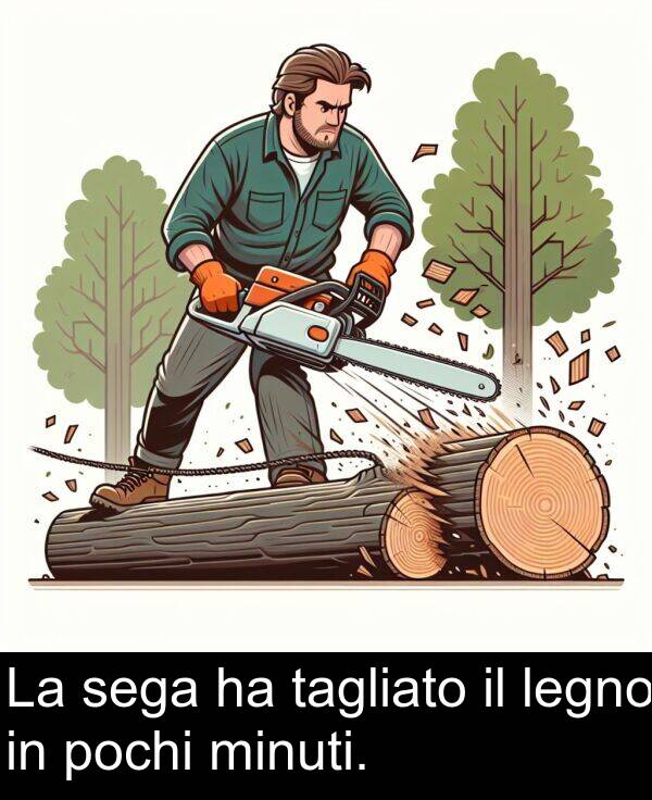 tagliato: La sega ha tagliato il legno in pochi minuti.