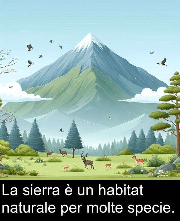 naturale: La sierra è un habitat naturale per molte specie.