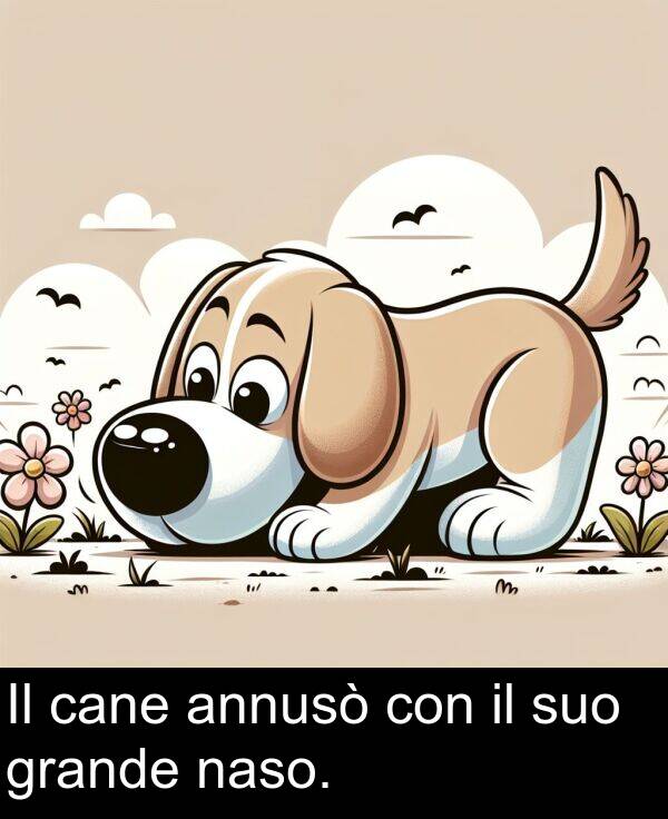 naso: Il cane annusò con il suo grande naso.