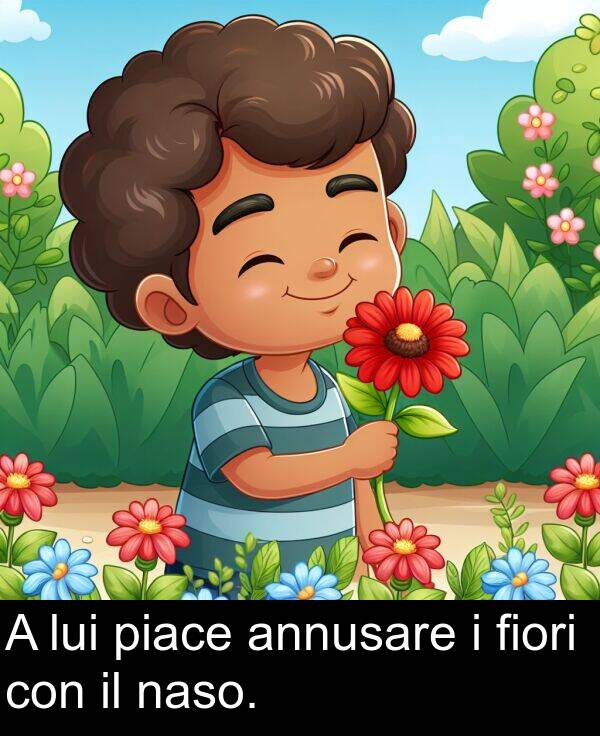 naso: A lui piace annusare i fiori con il naso.