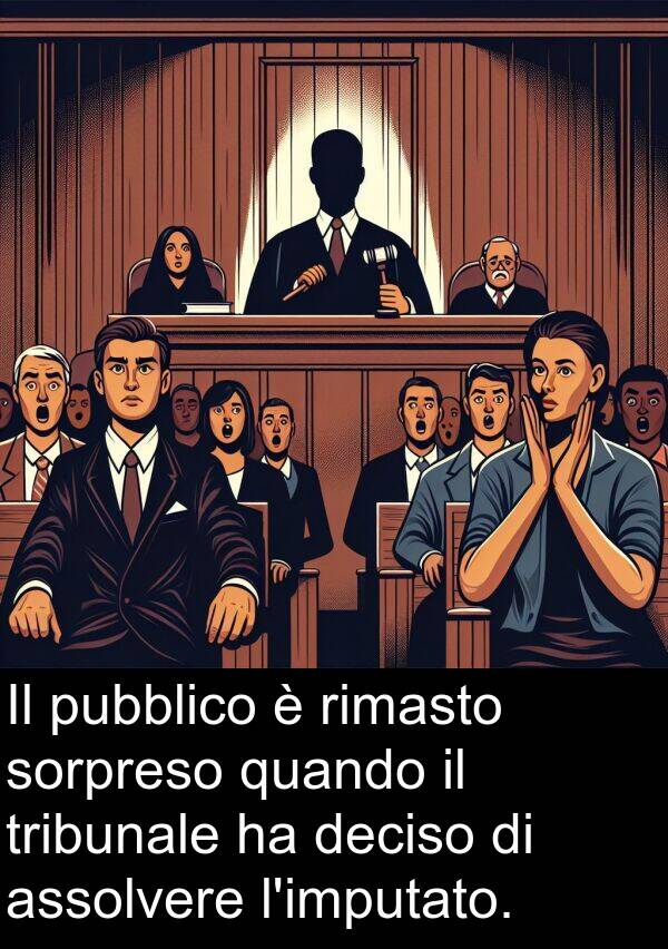 deciso: Il pubblico è rimasto sorpreso quando il tribunale ha deciso di assolvere l'imputato.