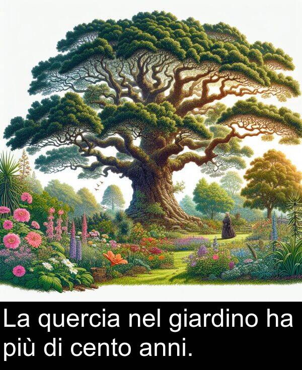 anni: La quercia nel giardino ha più di cento anni.