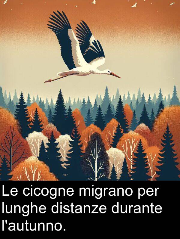 lunghe: Le cicogne migrano per lunghe distanze durante l'autunno.