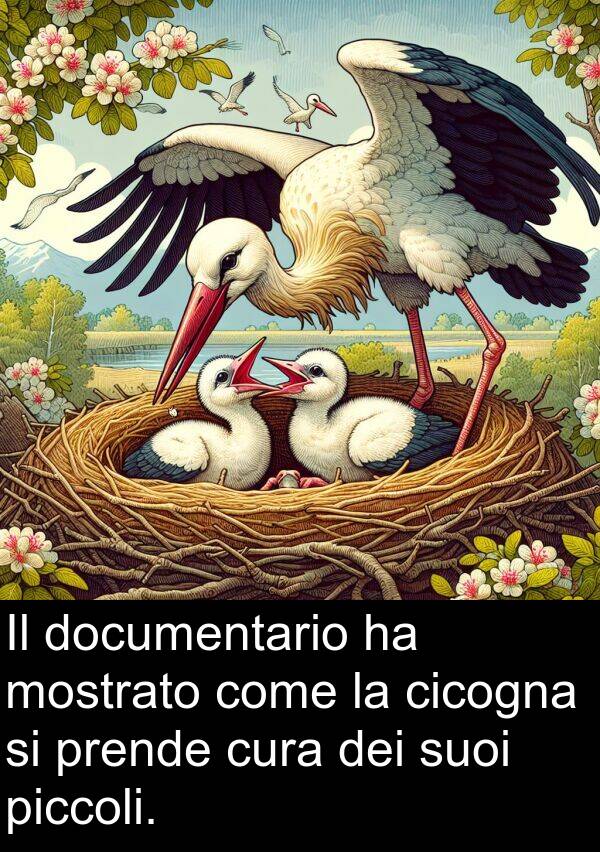 come: Il documentario ha mostrato come la cicogna si prende cura dei suoi piccoli.