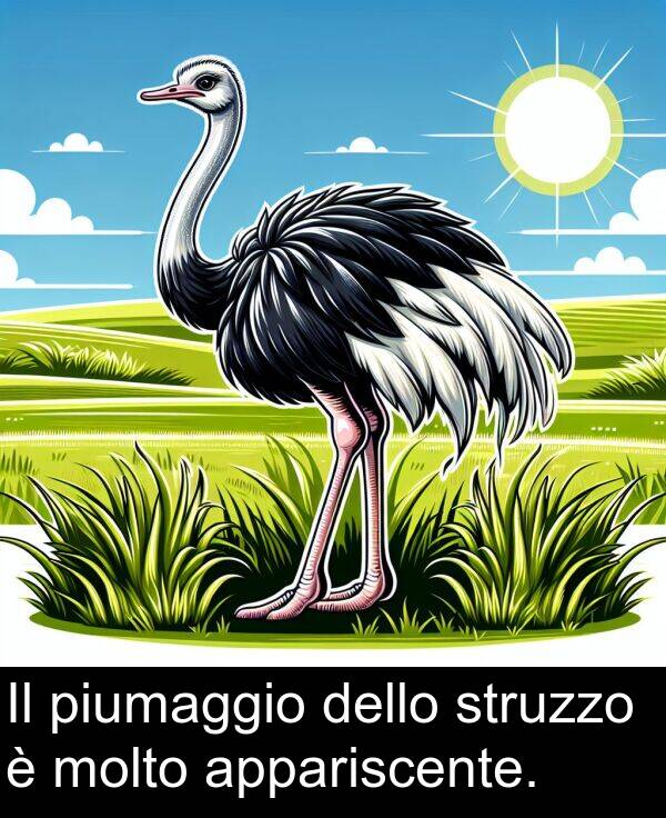 piumaggio: Il piumaggio dello struzzo è molto appariscente.