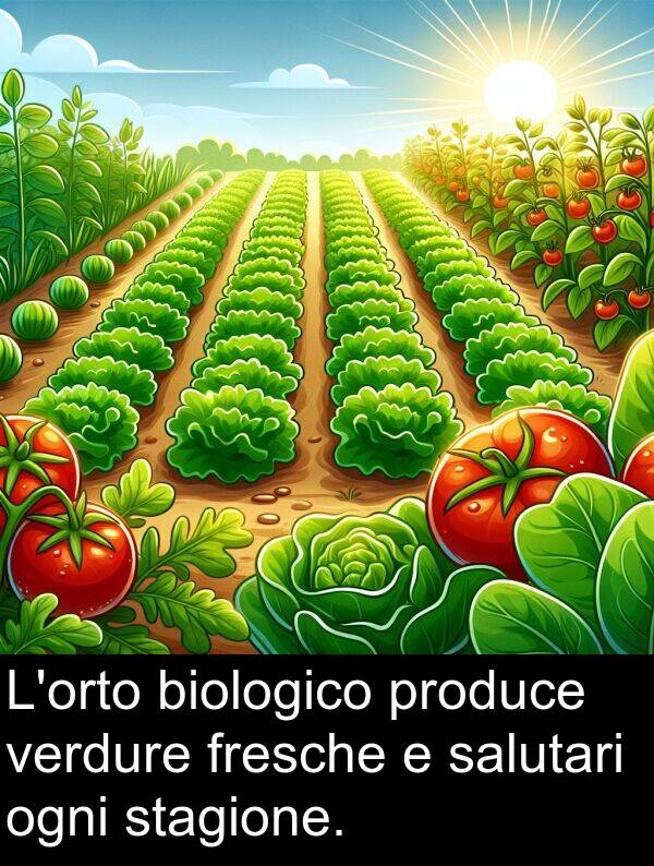 verdure: L'orto biologico produce verdure fresche e salutari ogni stagione.