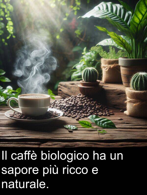 caffè: Il caffè biologico ha un sapore più ricco e naturale.