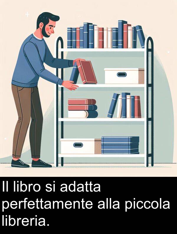 adatta: Il libro si adatta perfettamente alla piccola libreria.