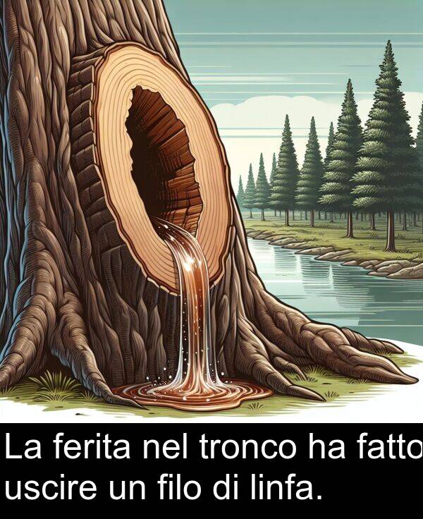 ferita: La ferita nel tronco ha fatto uscire un filo di linfa.